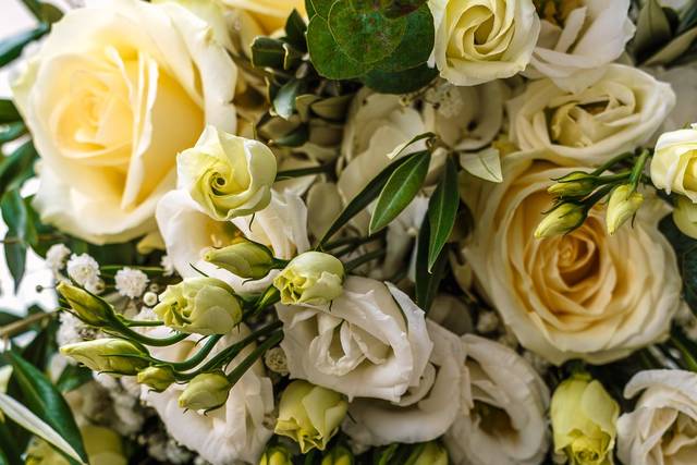 Le mariage de Sacha et Dylan 3