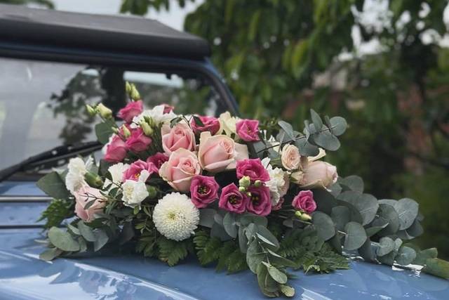 Le mariage de Marjory et Aubin  1