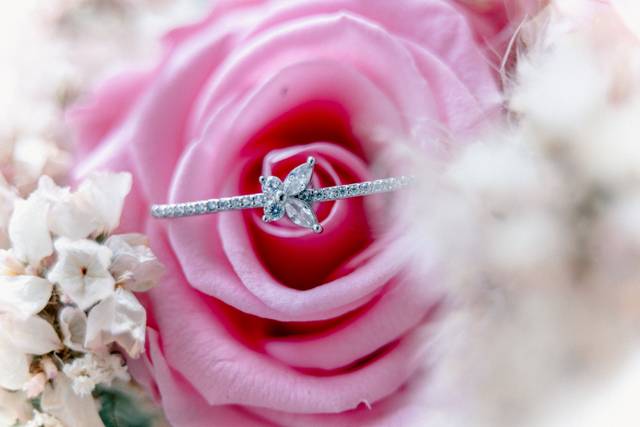 Le mariage de Patrice et tiffany 3