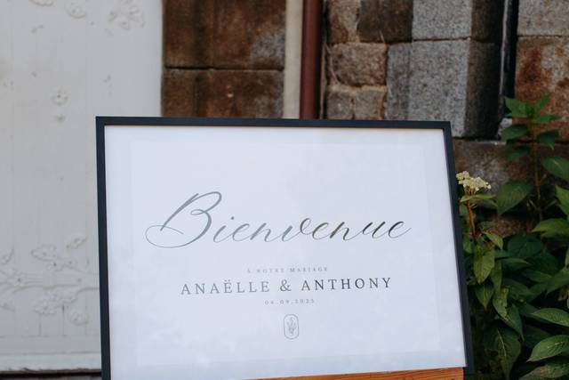 Le mariage de Anaëlle et Anthony 3