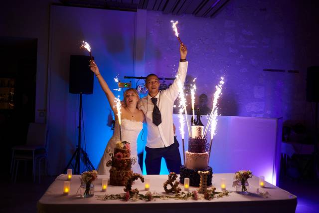 Le mariage de Charlotte  et Lionel 2