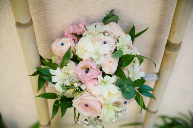 Le mariage de Cécile et Jérôme 1