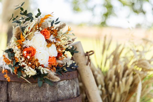 Le mariage de Elodie et Jérémy 1