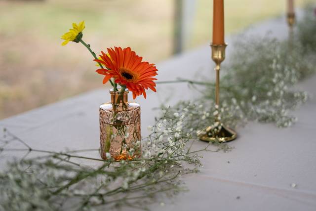 Le mariage de Lucile et Benjamin 3