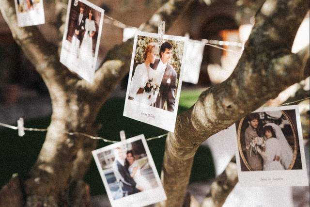 Le mariage de Océane et Alexandre 1