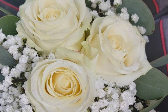 Le mariage de Coralie et Christophe  3