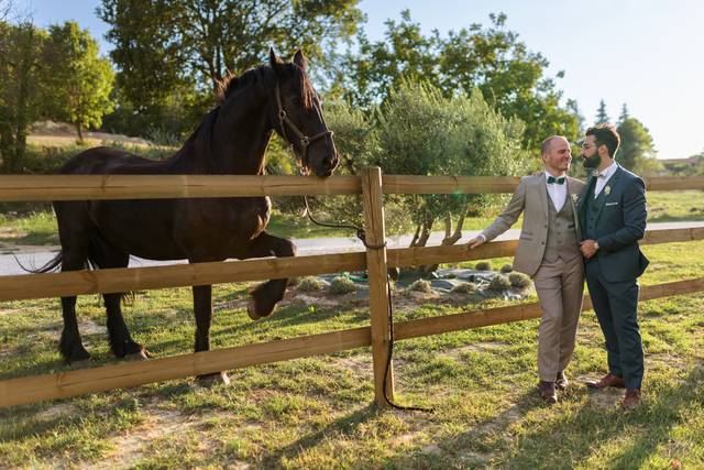Le mariage de Nicolas et Remy 2