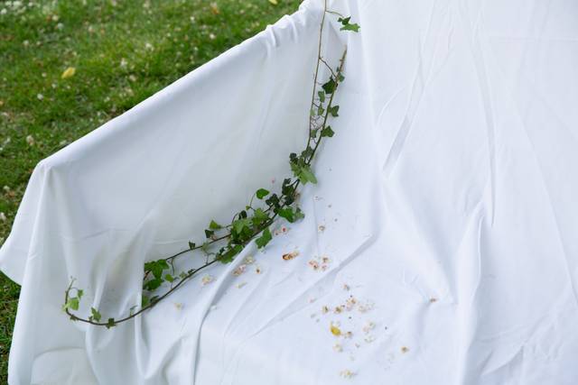 Le mariage de Daphnée et Loïc 3