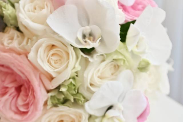 Le mariage de Natalia et Vladimir 2