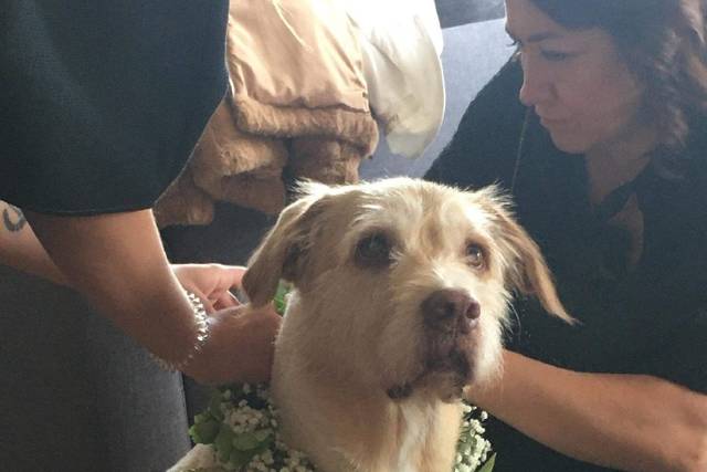 Le mariage de Marine et Julien 3