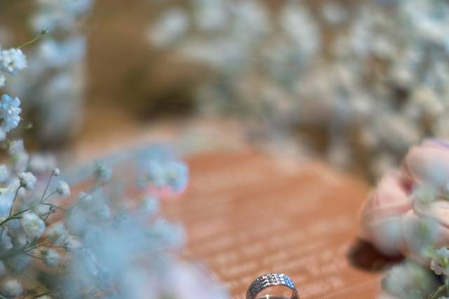 Le mariage de Roxane et Antoine 2