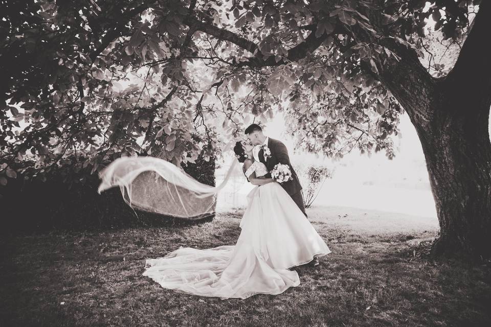 Le mariage de Tifaine et Clément