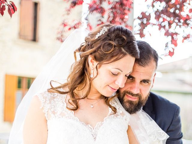 Le mariage de Cédric et Christelle à Beauvoir-en-royans , Isère 11