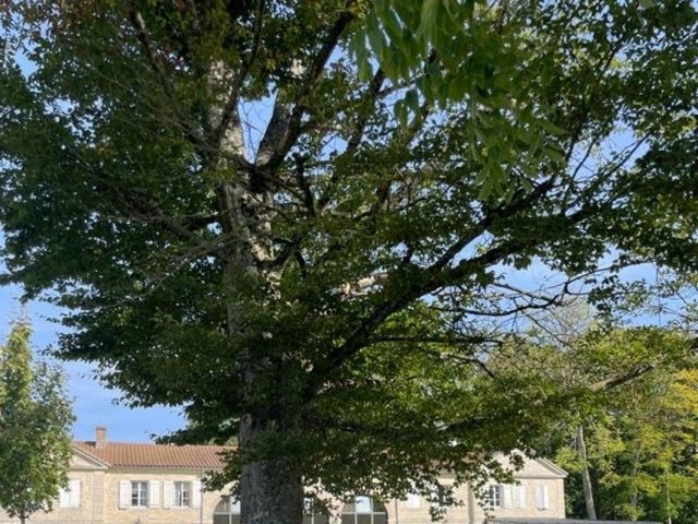 Le mariage de Mickaël  et Aurélia à Longchamp, Côte d&apos;Or 8