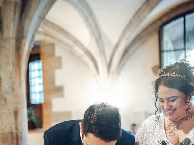 Le mariage de Luc et Sérena à Dijon, Côte d&apos;Or 29