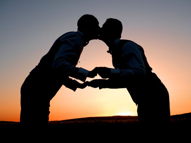 Le mariage de Stéphane et Stéphane à Grabels, Hérault 1