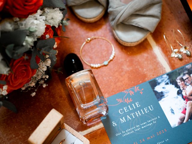 Le mariage de Mathieu et Célie à Castanet-Tolosan, Haute-Garonne 19