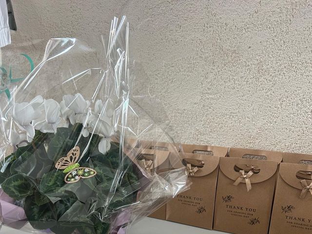 Le mariage de Sandre  et Maeva et Paolo  à Champvallon, Yonne 9