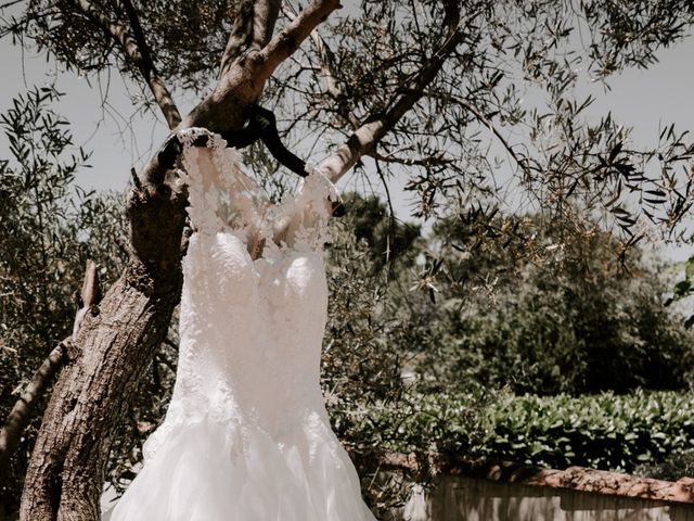 Le mariage de Vincent et Aurélie à Saint-Martin-de-Crau, Bouches-du-Rhône 4