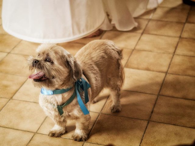 Le mariage de Julien et Annie à Seurre, Côte d&apos;Or 24