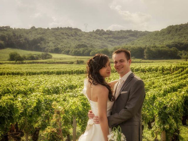 Le mariage de Julien et Annie à Seurre, Côte d&apos;Or 198