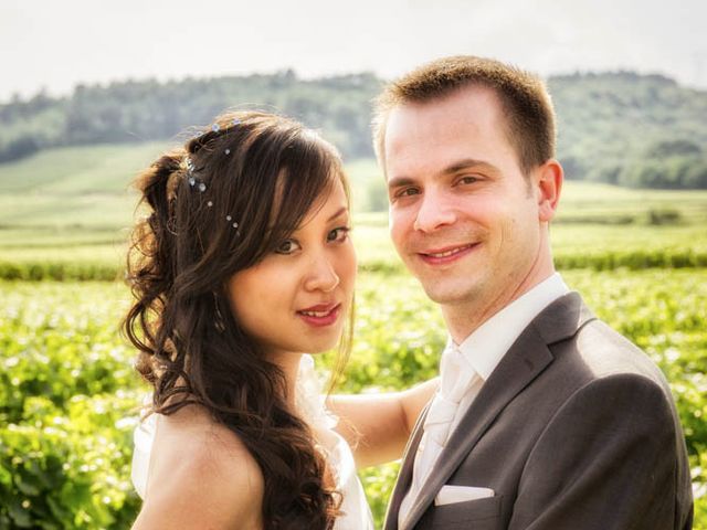 Le mariage de Julien et Annie à Seurre, Côte d&apos;Or 2