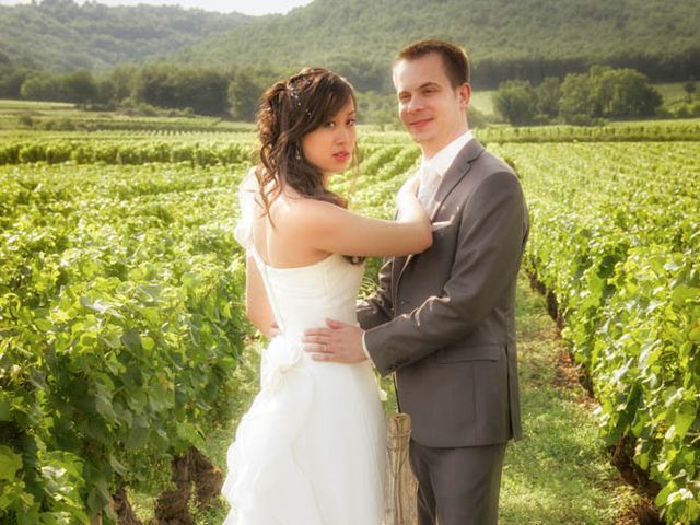 Le mariage de Julien et Annie à Seurre, Côte d&apos;Or 199