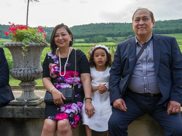 Le mariage de Julien et Annie à Seurre, Côte d&apos;Or 257