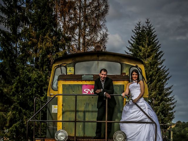 Le mariage de Alexandra et Edric à Clermont-Ferrand, Puy-de-Dôme 60