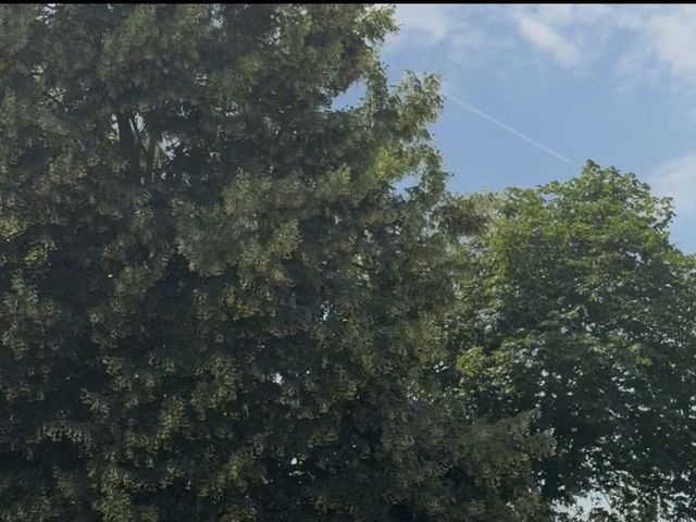 Le mariage de Cédric et Cécile à Prunay-en-Yvelines, Yvelines 19