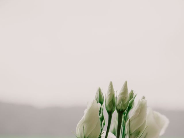 Le mariage de Nathalie et Mathieu à Cerfontaine, Namur 4