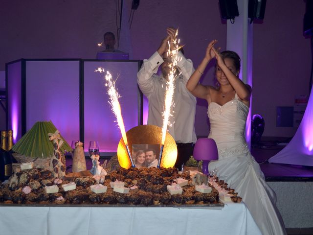 Le mariage de Aurélie et Arnaud à Fonsorbes, Haute-Garonne 15