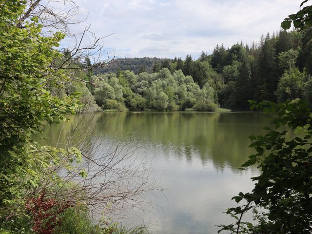 Le mariage de Emile et Marianne à Leschères, Jura 9