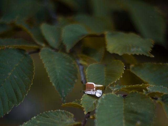 Le mariage de Cyrille et Laura à Romagnat, Puy-de-Dôme 13