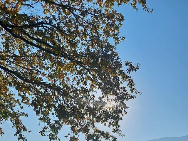 Le mariage de Bassetto et Emilie à Tresserve, Savoie 6