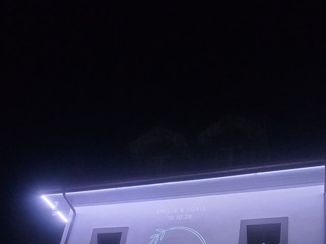 Le mariage de Bassetto et Emilie à Tresserve, Savoie 7