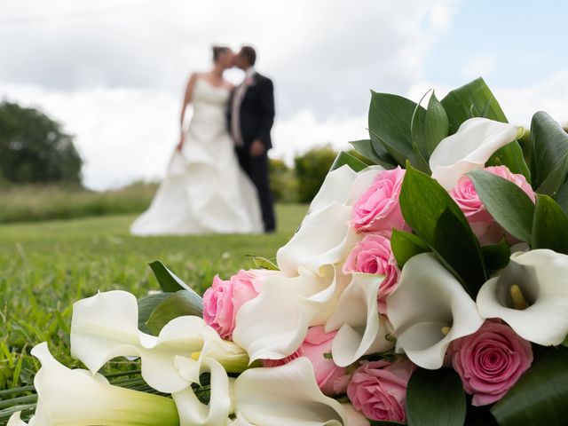 Le mariage de Grégory et France à Neuillé-Pont-Pierre, Indre-et-Loire 12