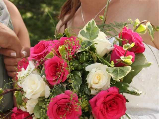 Le mariage de Laurie et Léo à Oraison, Alpes-de-Haute-Provence 7