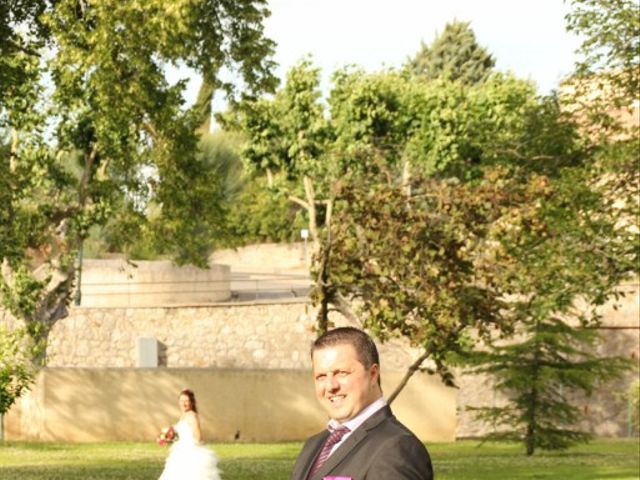 Le mariage de Laurie et Léo à Oraison, Alpes-de-Haute-Provence 12