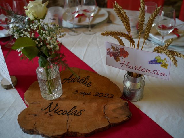 Le mariage de Nicolas et Aurélie à Marigny-Brizay, Vienne 9