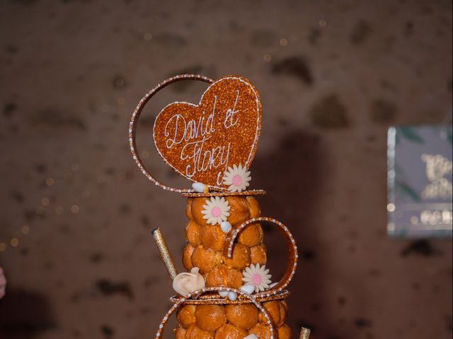 Le mariage de David et Flory à Misy-sur-Yonne, Seine-et-Marne 14