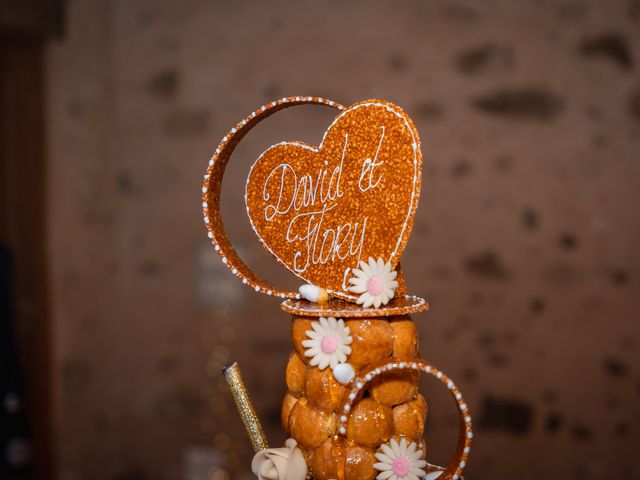 Le mariage de David et Flory à Misy-sur-Yonne, Seine-et-Marne 15