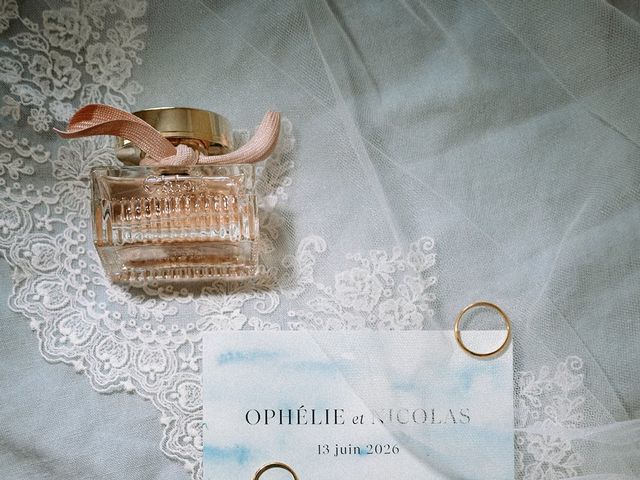 Le mariage de Nicolas et Ophelie à Cavaillon, Vaucluse 6