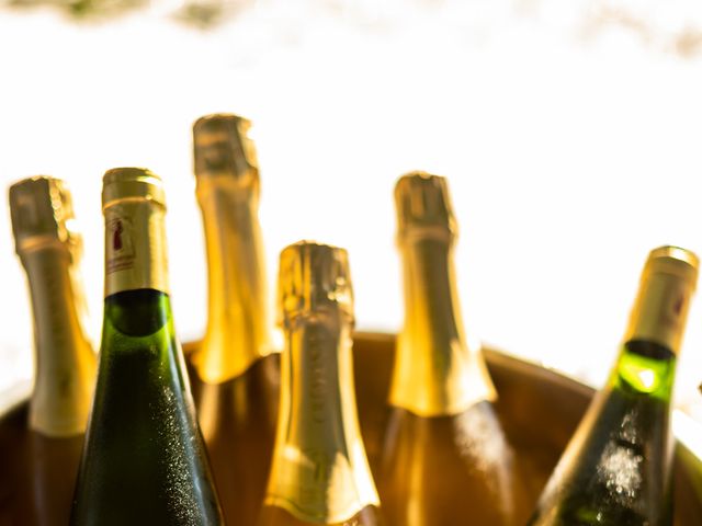 Le mariage de Yoann et Serena à Battenheim, Haut Rhin 58