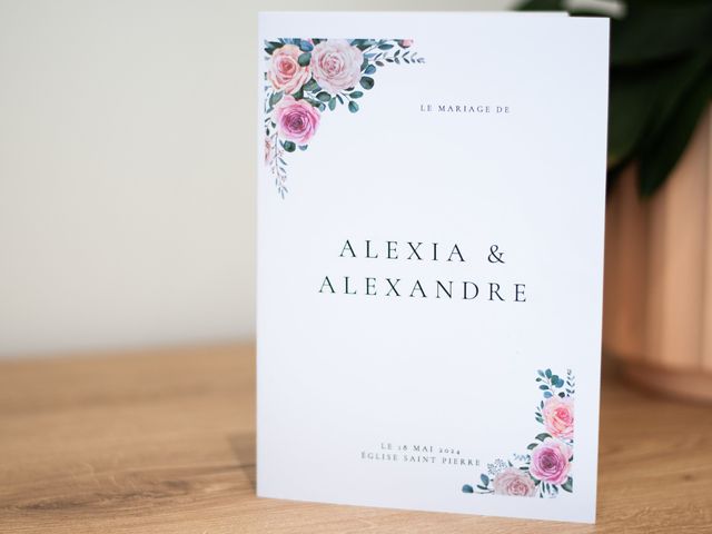 Le mariage de Alexandre et Alexia à Charavines, Isère 10