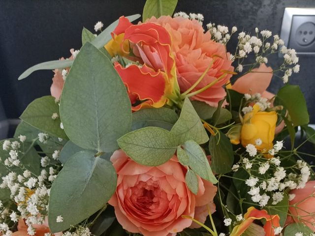 Le mariage de Frederic et Angel à Allinges, Haute-Savoie 2