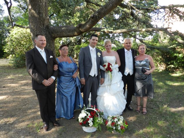 Le mariage de Christelle et Alexandre à Sainte-Cécile-les-Vignes, Vaucluse 21