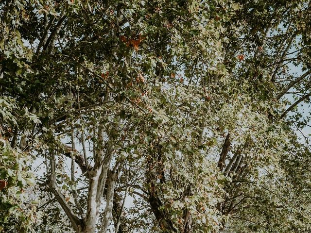 Le mariage de Yoann et Julie à Saint-Sulpice-la-Pointe, Tarn 36