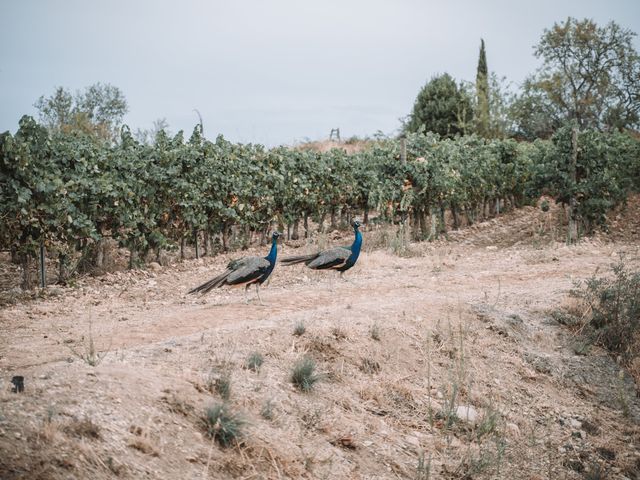 Le mariage de Simon et Marine à Rivesaltes, Pyrénées-Orientales 33