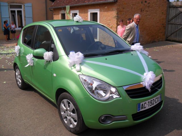 Le mariage de Charlotte et Yoann à Degré, Sarthe 14